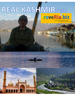 7H5M REAL KASHMIR